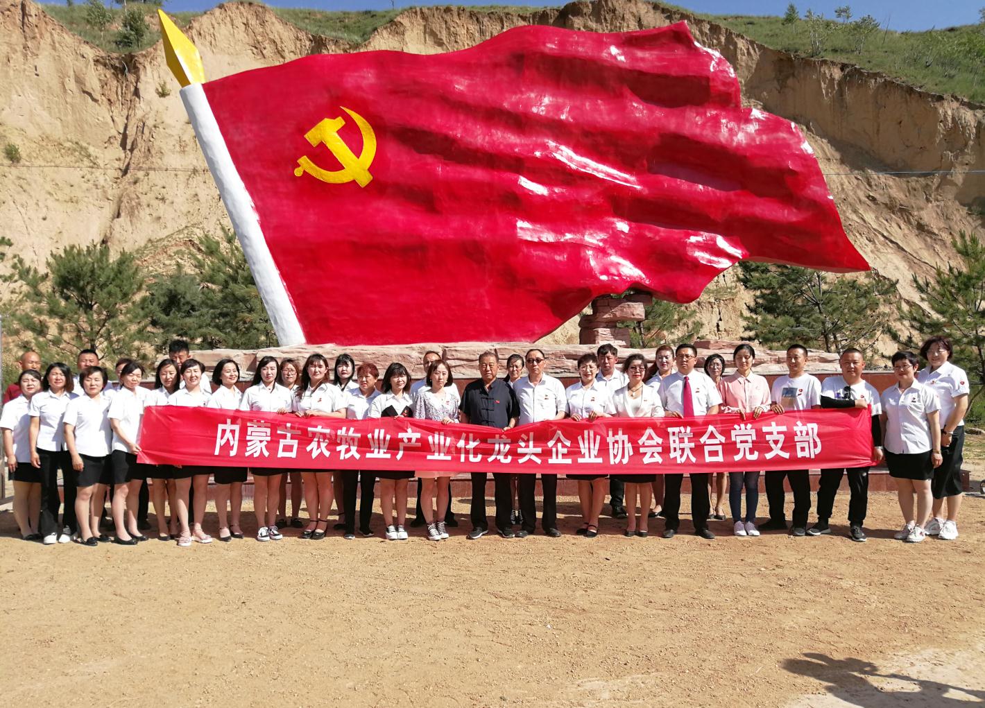 內(nèi)蒙古農(nóng)牧業(yè)產(chǎn)業(yè)化龍頭企業(yè)協(xié)會走進(jìn)石人灣村開展“辦實(shí)事、解難題，送溫暖，傳黨恩”公益活動